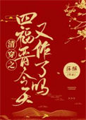 《清穿之四爷的作妖小福晋》封面