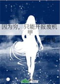 《因为穷，只能开报废机甲》封面