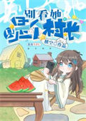《开局一个新手村》封面