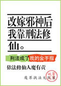《改嫁邪神后我靠刑法修仙》封面