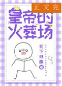 《进冷宫后皇帝火葬场了》封面