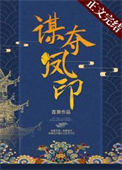 《谋夺凤印》封面