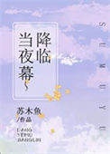 《当夜幕降临》封面
