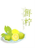 《鲜柠》封面