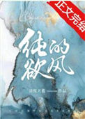 《纯欲的风》封面