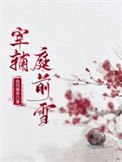 《宰辅庭前雪》封面