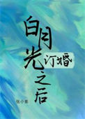 《白月光订婚之后》封面