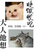 《大人他想硬饭软吃》封面