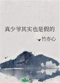 《真少爷其实也是假的》封面