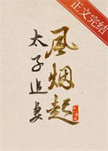 《太子追妻风烟起》封面