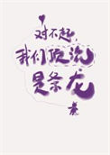 《对不起，我们顶流是条龙！》封面