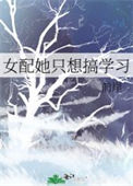 《女配她只想搞学习》封面