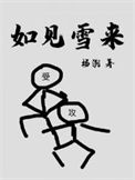 《如见雪来》封面