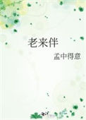 《老来伴》封面