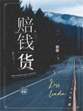 《赔钱货》封面