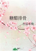 《糖醋排骨》封面