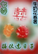 《搭伙过日子[七零]》封面