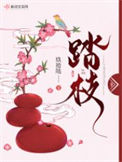 《踏枝》封面