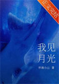 《我见月光》封面