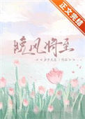 《晚风将至》封面