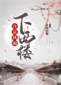 《汴京风雨下西楼》封面
