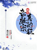 《老祖宗她是真的狂》封面