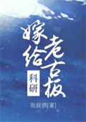 《嫁给科研老古板》封面