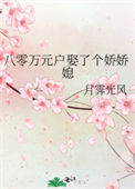 《八零万元户娶了个娇娇媳》封面
