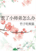 《惹了小师弟怎么办》封面