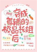 《穿成首辅的极品长姐（种田）》封面