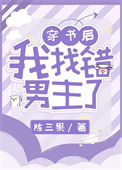《穿书后我找错男主了》封面