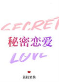 《秘密恋爱》封面