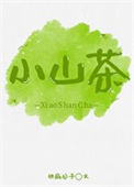 《小山茶》封面