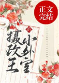 《摄政王的小外室》封面