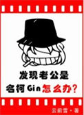 《发现老公是名柯Gin怎么办》封面