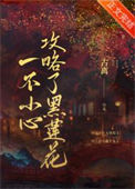 《一不小心攻略了黑莲花》封面