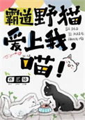 《霸道野猫爱上我，喵！》封面