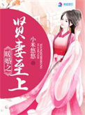《暖婚之贤妻至上》封面