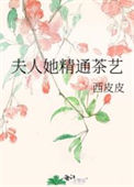 《夫人她精通茶艺》封面