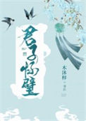 《君子怀璧》封面