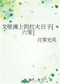 《戈壁滩上的红火日子[六零]》封面