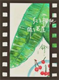 《红了樱桃，绿了芭焦》封面
