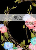 《栗色》封面