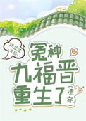 《清穿 冤种九福晋重生了》封面