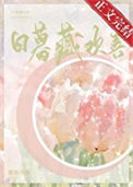 《日暮藏欢喜》封面