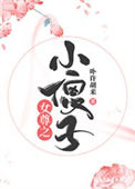《女尊之小傻子》封面