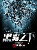 《黑雾之下》封面