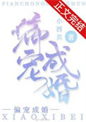 《偏宠成婚》封面