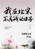 《我在北宋不差钱的日子》封面