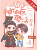 《我在神仙区整活的日子》封面